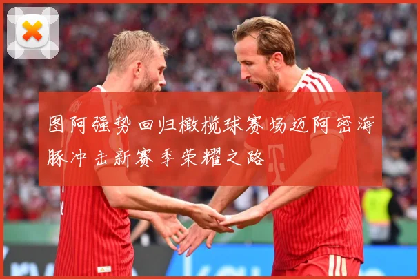 图阿强势回归橄榄球赛场迈阿密海豚冲击新赛季荣耀之路